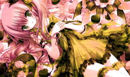 动漫圈,探寻二次元世界的魅力与奥秘