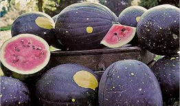 定州吃瓜爆料是真的吗,真相揭秘，是真是假？